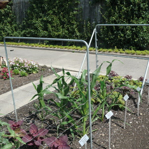Stützen für Schnittblumen-Drahtgeflechte