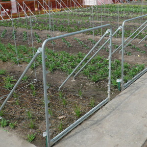 Stützen für Schnittblumen-Drathgeflechte als Zwischenstütze