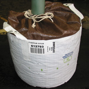 Baumschulcontainer White Bag 100 lt