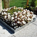 Grabeinfassung Stahl verzinkt 75 x 60 cm