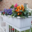 Blumenkasten VENEZIA anthrazit 80 cm, inkl. Wasserstandsanzeiger