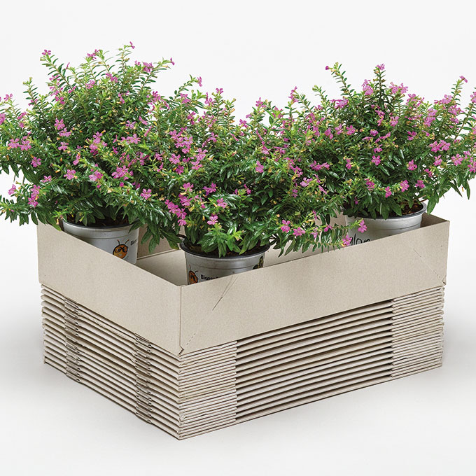 Aufrichteboden 39 x 29 x 8 cm, 800 g/m2, 20 Stück