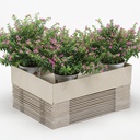 Aufrichteboden 39 x 29 x 8 cm, 800 g/m2, 20 Stück