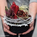 OASIS® BLACK BIOLIT® Pflanzschale ø 35 cm