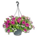 Blumenampeln ROYAL-TOP blau, 20 cm ø