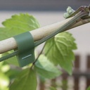 Bindeband SUPER MAX grün, 0.20 mm dick 20 m lang, 10 Rollen