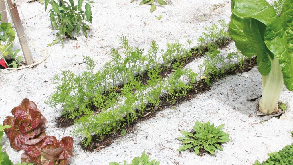 Hanfvlies, 450 g/m², 50 m lang, 88 cm breit