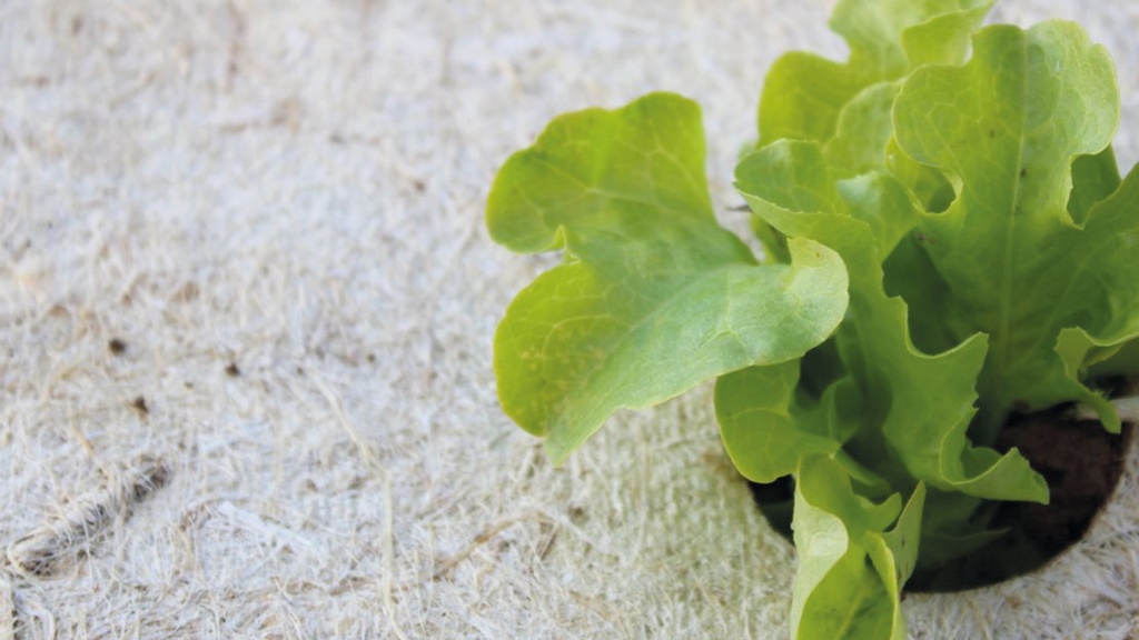 Hanfvlies, 450 g/m², 50 m lang, 88 cm breit