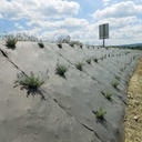 Bio-Unkrautvlies BIOCOVERS, 50 m lang, 200 cm breit