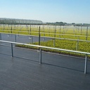 Bändchengewebe PHORMISOL 137, 132 g/m2, 100 m, 525 cm breit