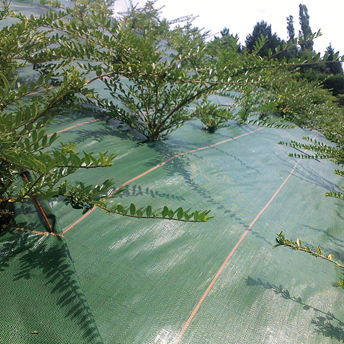 Bodengewebe AGROLYS, 86 g/m2, 100 m, 105 cm breit