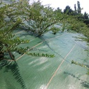 Bodengewebe AGROLYS, 86 g/m2, 100 m, 207 cm breit