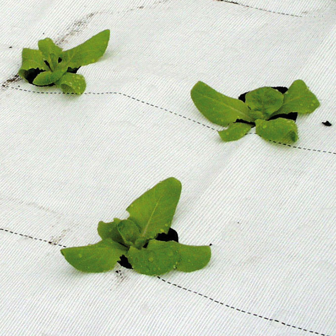 Bändchengewebe PHORMIFLEX, 100 g/m2, 100 m, 207 cm breit