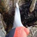 Baumsäge SILKY Tsurugi 300-8, inkl. Etui