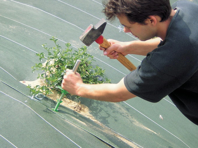 Schlagstab zu 135 270