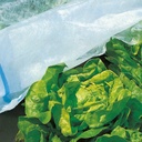 Abdeck­vlies COVERTAN PRO 17 g/m2, 250 m lang, 1050 cm breit