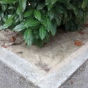 Mulchmatte 200 cm breit, Gewicht 300 g/m², Rolle à 20 m