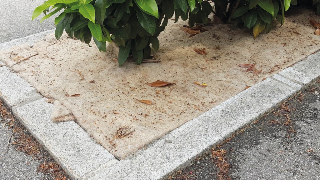 Mulchmatte 200 cm breit, Gewicht 500 g/m², Rolle à 20 m 