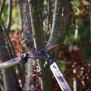 Astschere FELCO 211-50, Schneidkapazität 35 mm, 50 cm lang