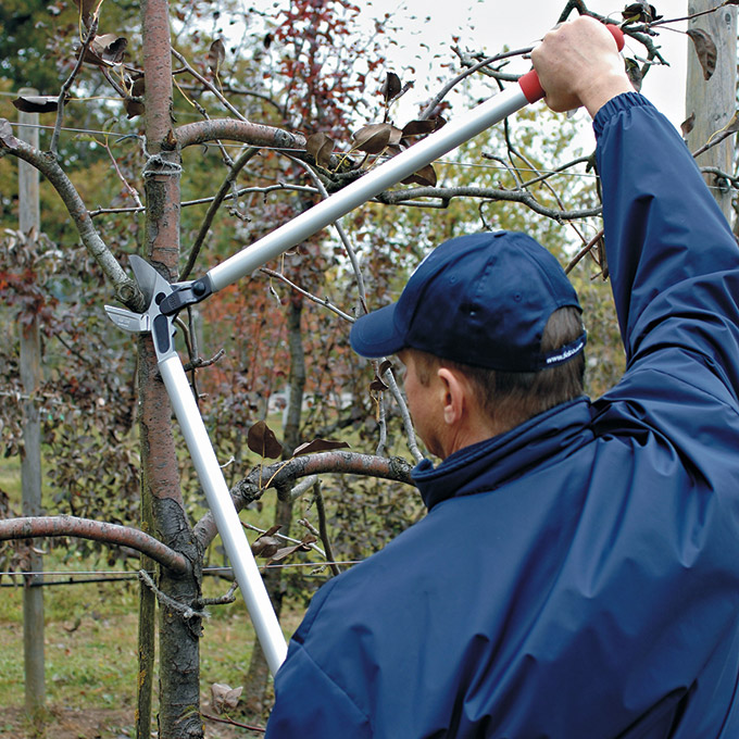 Astschere FELCO 230 flacher Amboss