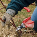 Baumschere FELCO 10, Linkshänder, Rollgriff, 21 cm lang