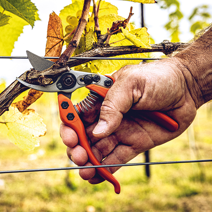 Baumschere LÖWE 12.104, 19 cm lang