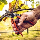 Baumschere LÖWE 12.104, 19 cm lang