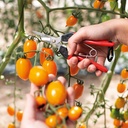 l_206.506_Felco_322_2_web