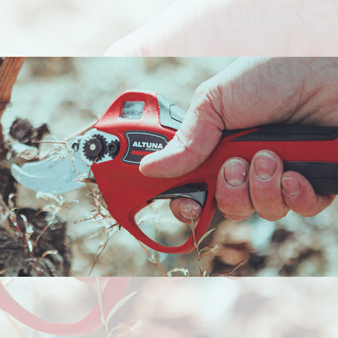 l_206.100_Altuna_AB25_2_web