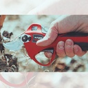 l_206.100_Altuna_AB25_2_web