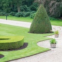 Randbegrenzung Stahl feste Zacken, anthrazit, 2.5 mm x 10 cm, 225 cm lang