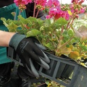 282.570.06_Floristenhandschuh SHOWA PALM FIT schwarz, Grösse 6