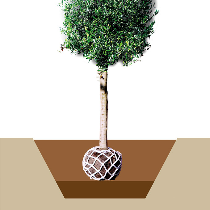 202.741.2_Vlies-Anwachsnetz LITE-NET BIO5 L, 150x80 cm