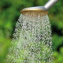 154.300_Rundbrause SCHNEIDER