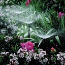 160.150_Tröpfchenbewässerer SPECTRUM 360° auf Stab, 25 Stück