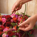 231.805_OASIS® BIOLIT® Herz 25.5 x 28 x 4 cm 4 Stück