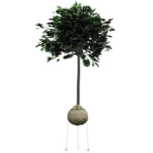 Wurzelballenverankerung GRIPPLE PRBK 5 mit Erdanker