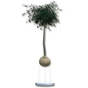 Wurzelballenverankerung GRIPPLE CFK 4 mit Ringschraube