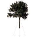 Baumverankerung GRIPPLE TGK 3