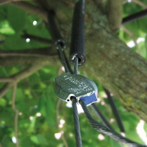 Baumverankerung GRIPPLE TGK 5