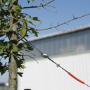 Baumverankerung, Baumhöhe 2-4.5 m