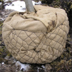 Ballierungsnetz aus Draht, Ø 140 cm (No. 6.5), Pack à 10 Stk