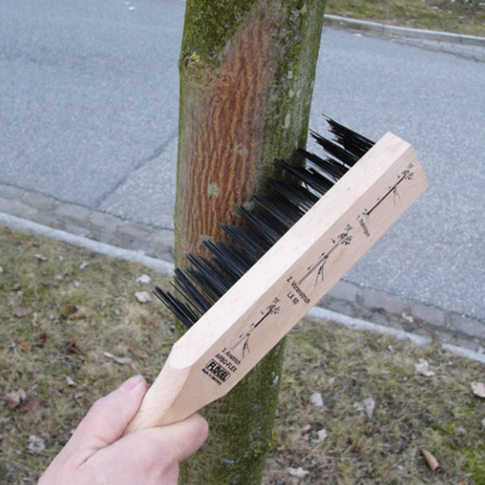 Rindenbürste 6-reihig