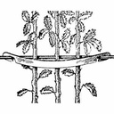 Staudenhalter Plastik, 6 cm lang, Beutel à 100 Stück