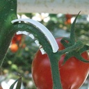 Triebbügel 6 mm weiss, flexibel kurz, Beutel à 500 Stück