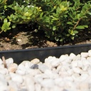 Randbegrenzung PVC 3 mm x 15.2 cm