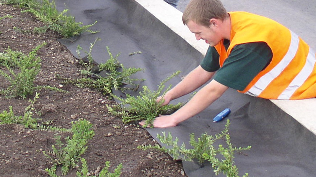 Toison contre mauvaises herbes PLANTEX PRO, 90 g/m², longueur 50 m, largeur 100 cm