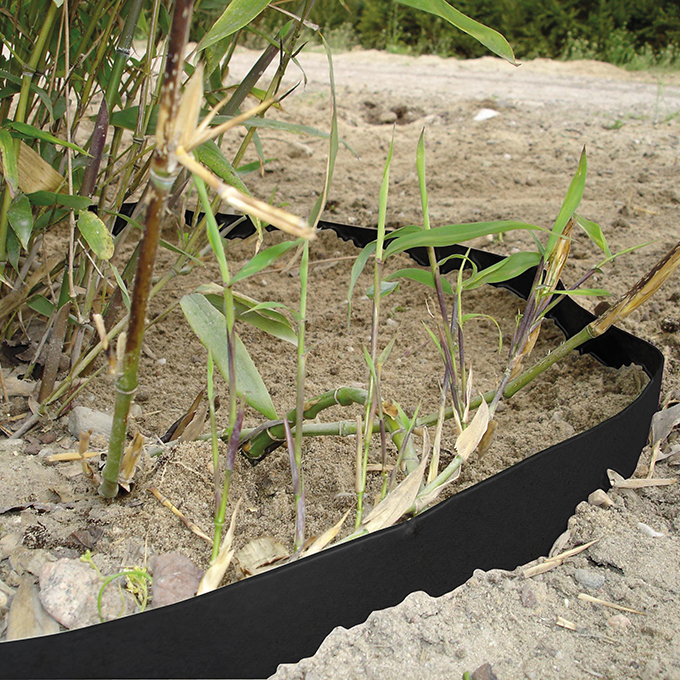 Rhizomsperre HDPE 2 mm, 25 m lang 100 cm breit