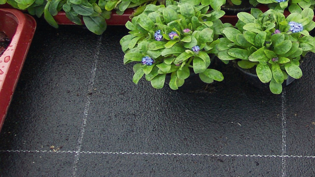 Tapis d'irrigation VIVAPLUS, 400 g/m², 3 couches, longueur 50 m, largeur 150 cm