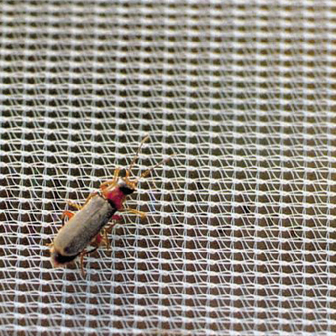 Filet de protection FILBIO largeur 220 cm, longueur 100 m